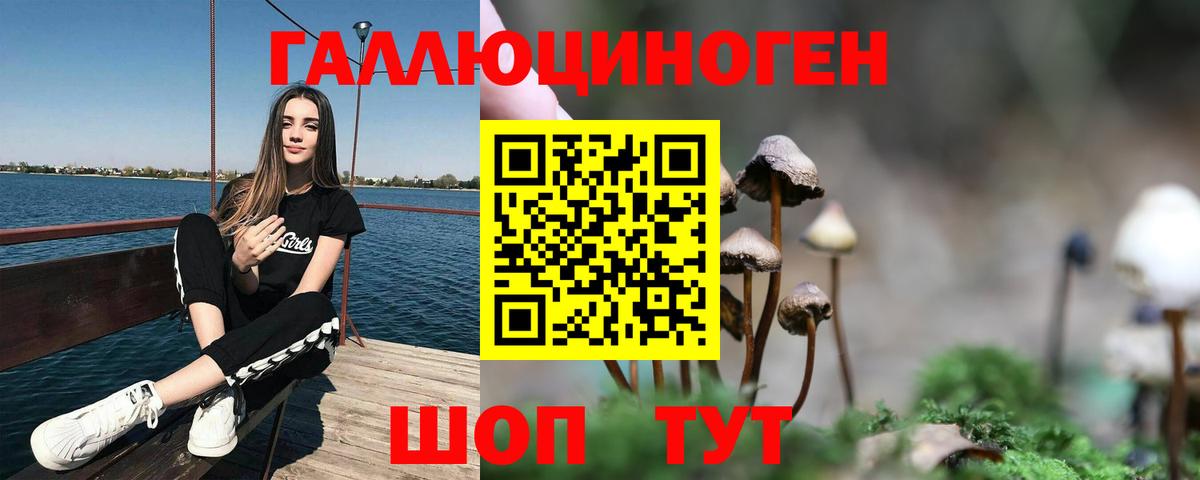 Ростов Великий  Галлюциногенные грибы Psilocybine cubensis  Вход с VPN 
